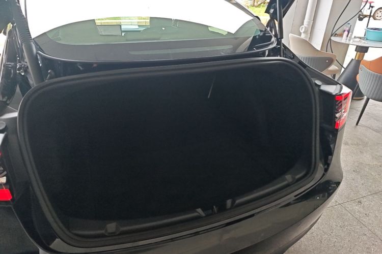 Tesla Model 3 2021 car image #19