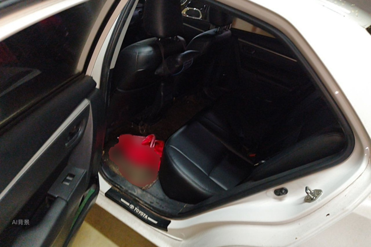 Toyota Corolla 2017 #19 Toyota Corolla 2017 car image #19