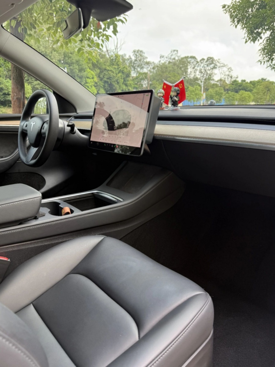 Tesla Model Y 2022 car image #6