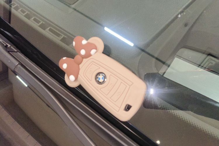 BMW 3 Series 2019 car image #9