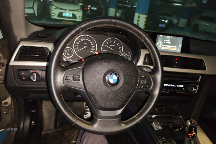 BMW 3 Series 2016 car image #12