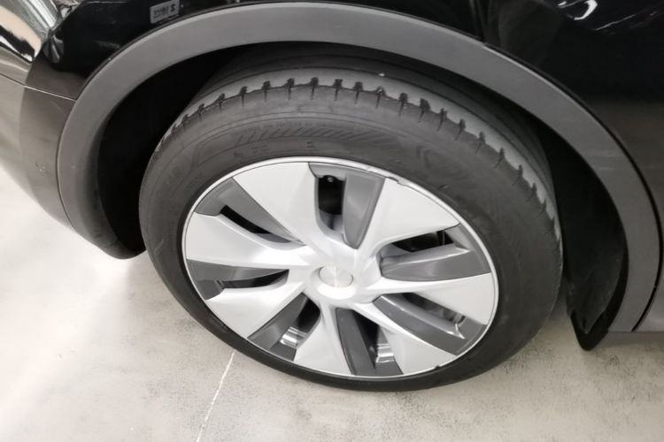 Tesla Model Y 2023 #10 Tesla Model Y 2023 car image #10
