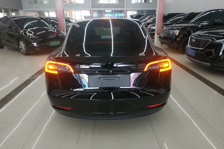 Tesla Model 3 2021 #6 Tesla Model 3 2021 immagine di auto #6