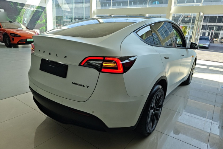 Tesla Model Y 2023 #7 Tesla Model Y 2023 car image #7