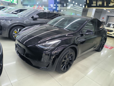 Tesla Model Y 2023 Tesla Model Y 2023 imagen de coche