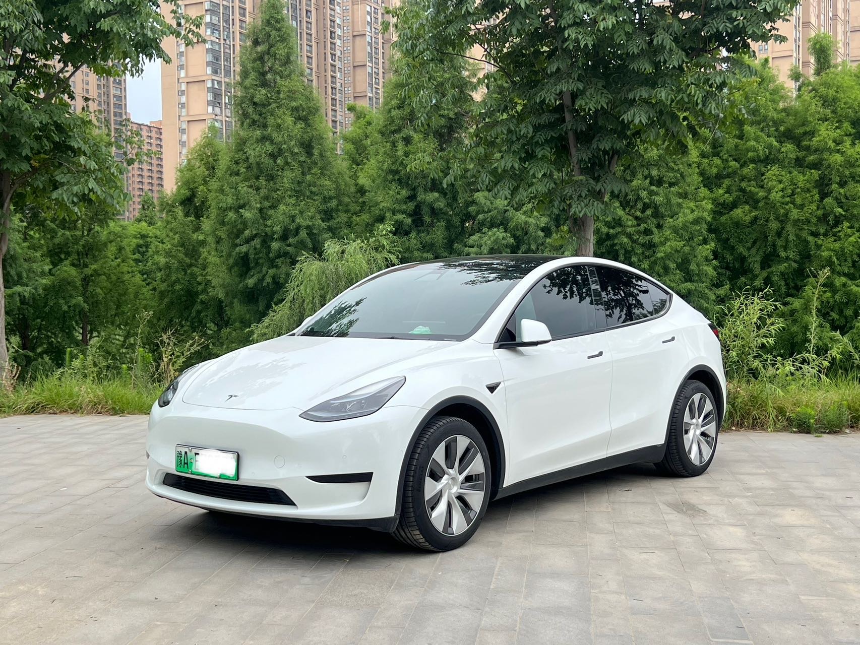 Tesla Model Y 2023 Tesla Model Y 2023 car image