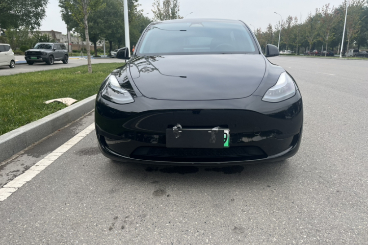 Tesla Model Y 2023 #4 Tesla Model Y 2023 car image #4