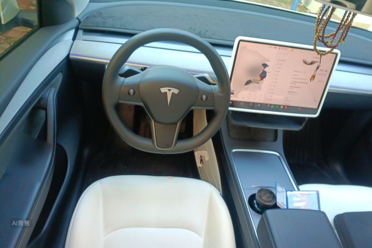 Tesla Model Y 2023 car image #12