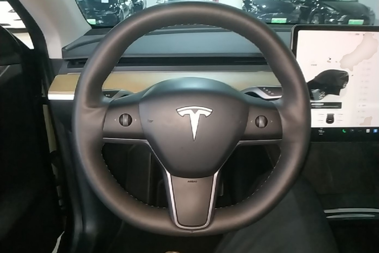 Tesla Model Y 2023 immagine di auto #11