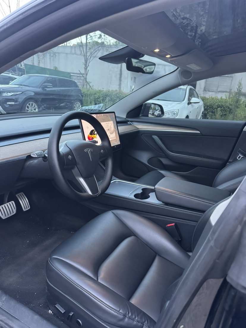 Tesla Model 3 2021 #3 Tesla Model 3 2021 car image #3