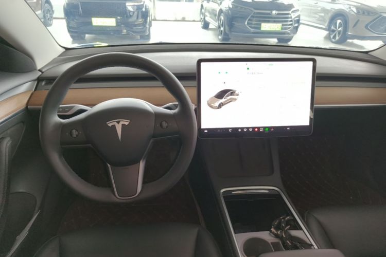 Tesla Model 3 2021 car image #14
