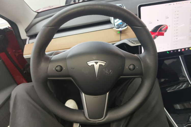 Tesla Model 3 2020 car image #11