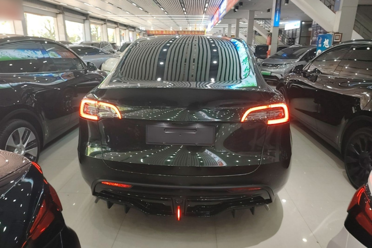 Tesla Model Y 2023 #6 Tesla Model Y 2023 car image #6