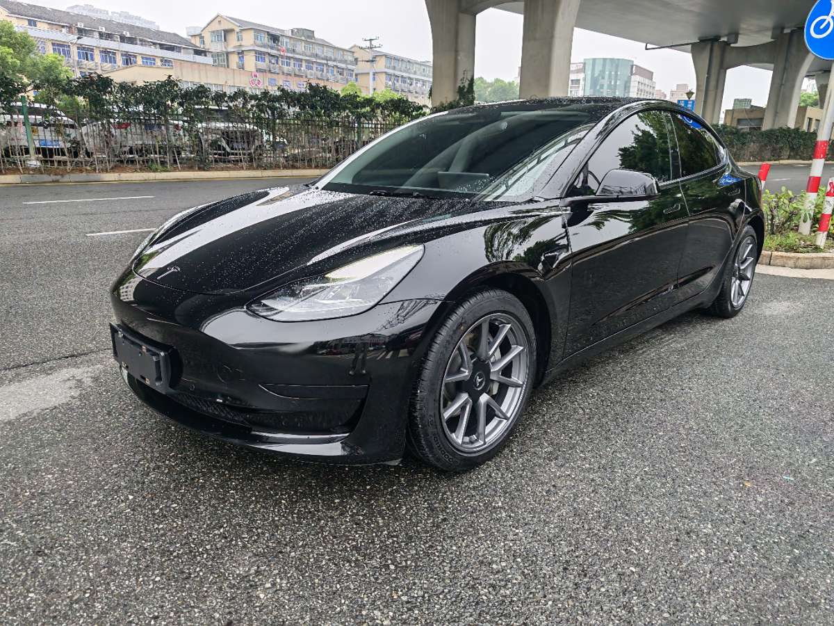 Tesla Model 3 2021 Tesla Model 3 2021 immagine di auto
