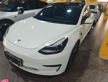 Tesla Model 3 2021 Tesla Model 3 2021 car image
