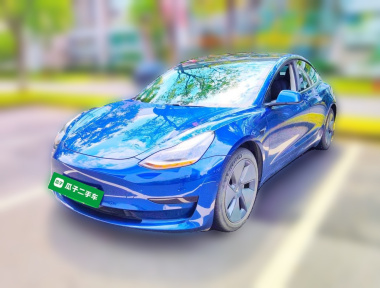 Tesla Model 3 2021 Tesla Model 3 2021 immagine di auto