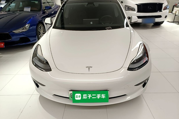 Tesla Model 3 2021 #3 Tesla Model 3 2021 car image #3