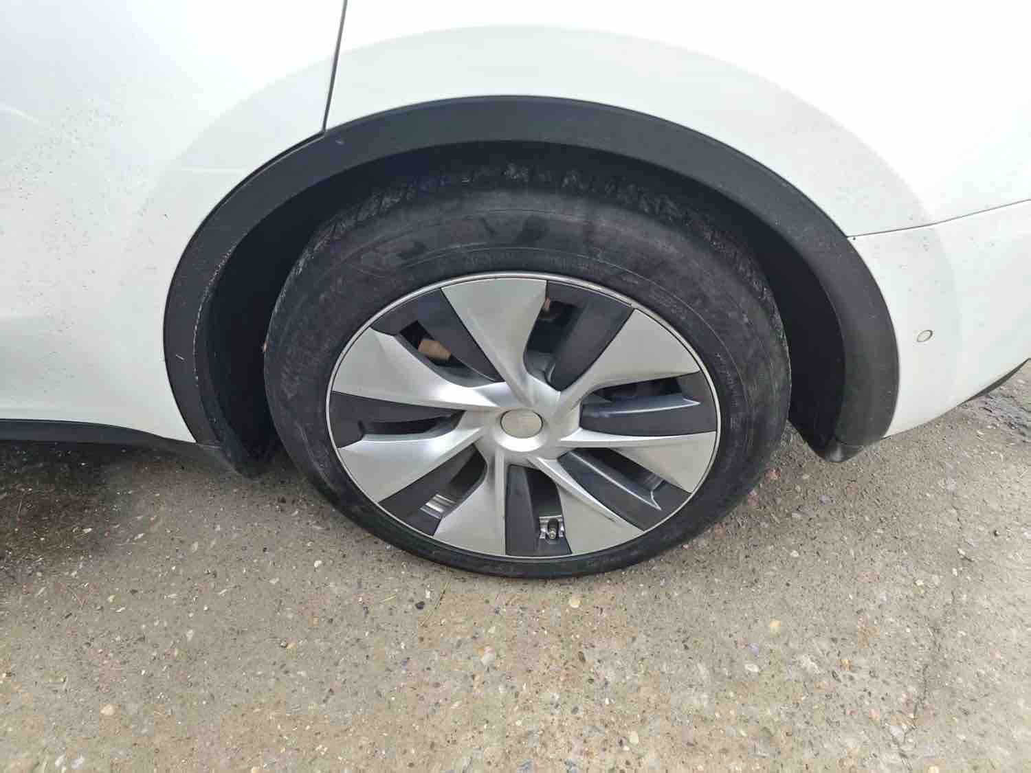 Tesla Model Y 2021 car image #5