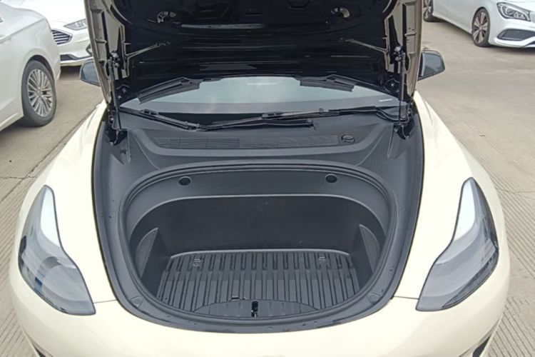 Tesla Model 3 2021 immagine di auto #20