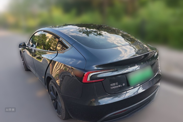Tesla Model 3 2024 car image #5