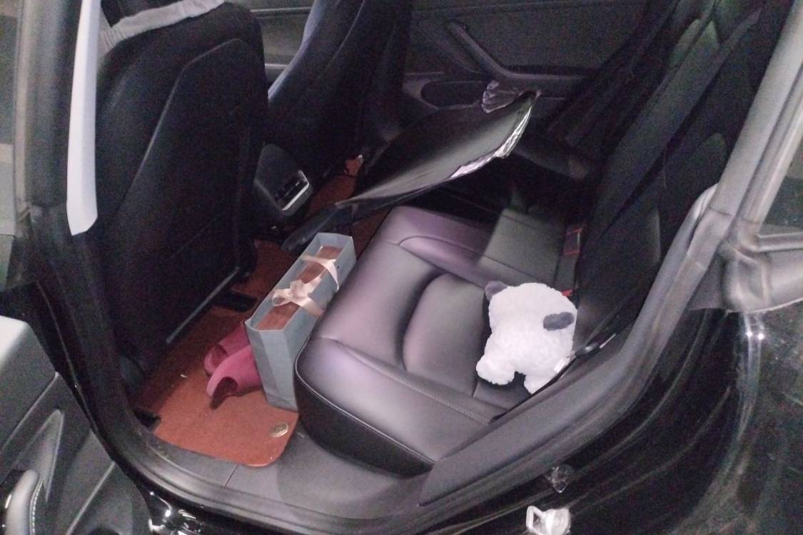 Tesla Model 3 2020 car image #19