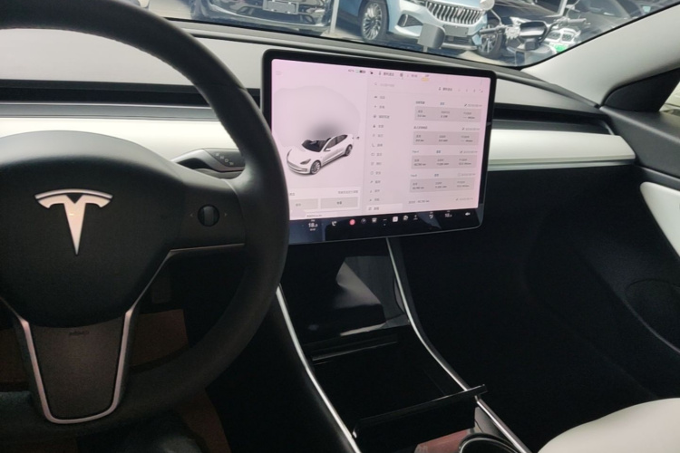 Tesla Model 3 2020 car image #10