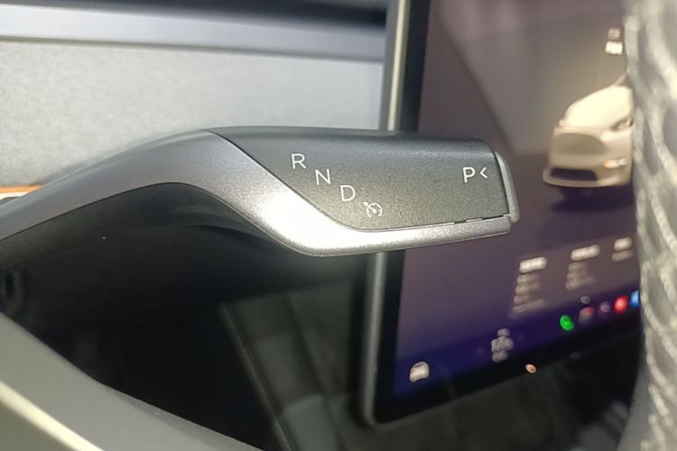 Tesla Model Y 2024 car image #14