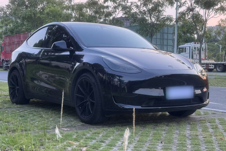 Tesla Model Y 2021 #4 Tesla Model Y 2021 car image #4