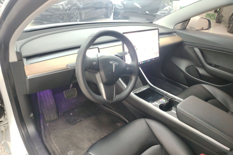 Tesla Model 3 2020 car image #11