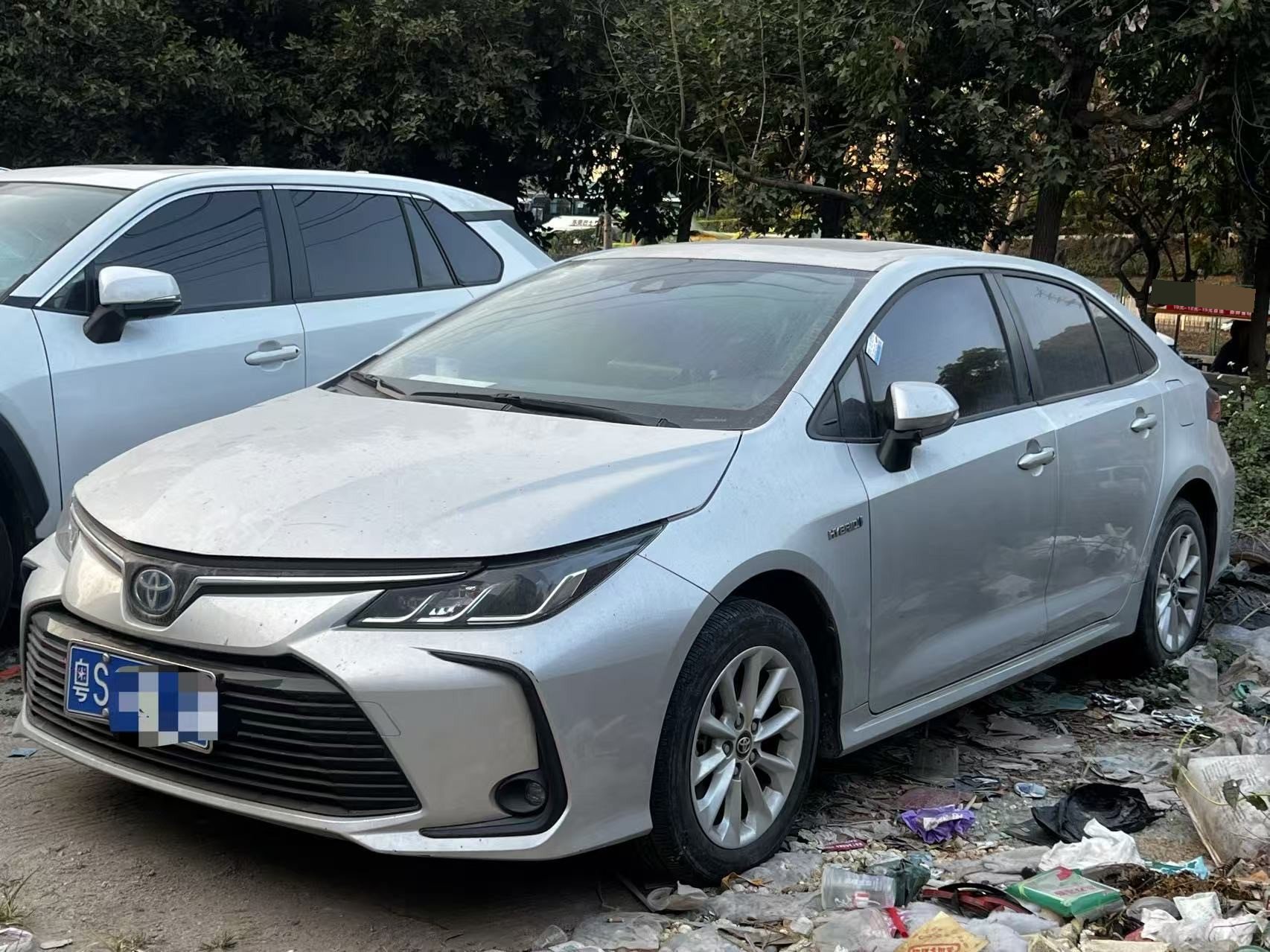 Toyota Corolla 2022 Toyota Corolla 2022 car image