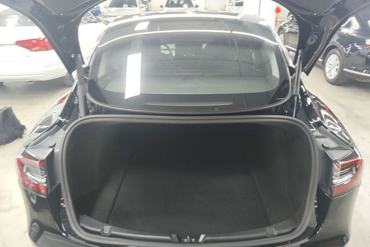 Tesla Model 3 2021 #19 Tesla Model 3 2021 immagine di auto #19