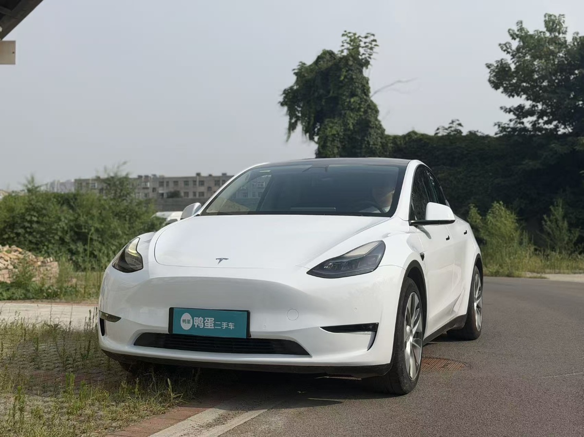 Tesla Model Y 2021 car image 