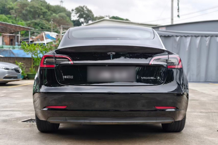 Tesla Model 3 2021 immagine di auto #6
