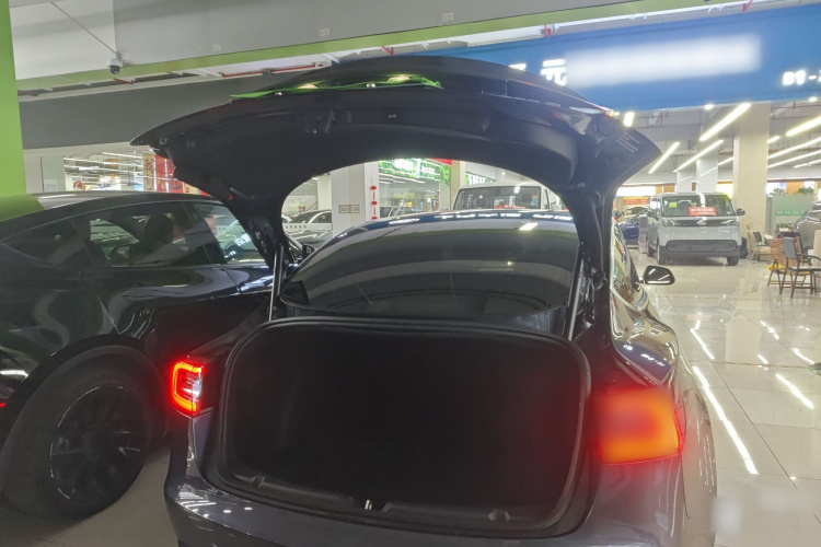Tesla Model 3 2020 car image #19