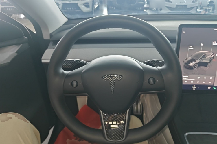 Tesla Model Y 2023 car image #15