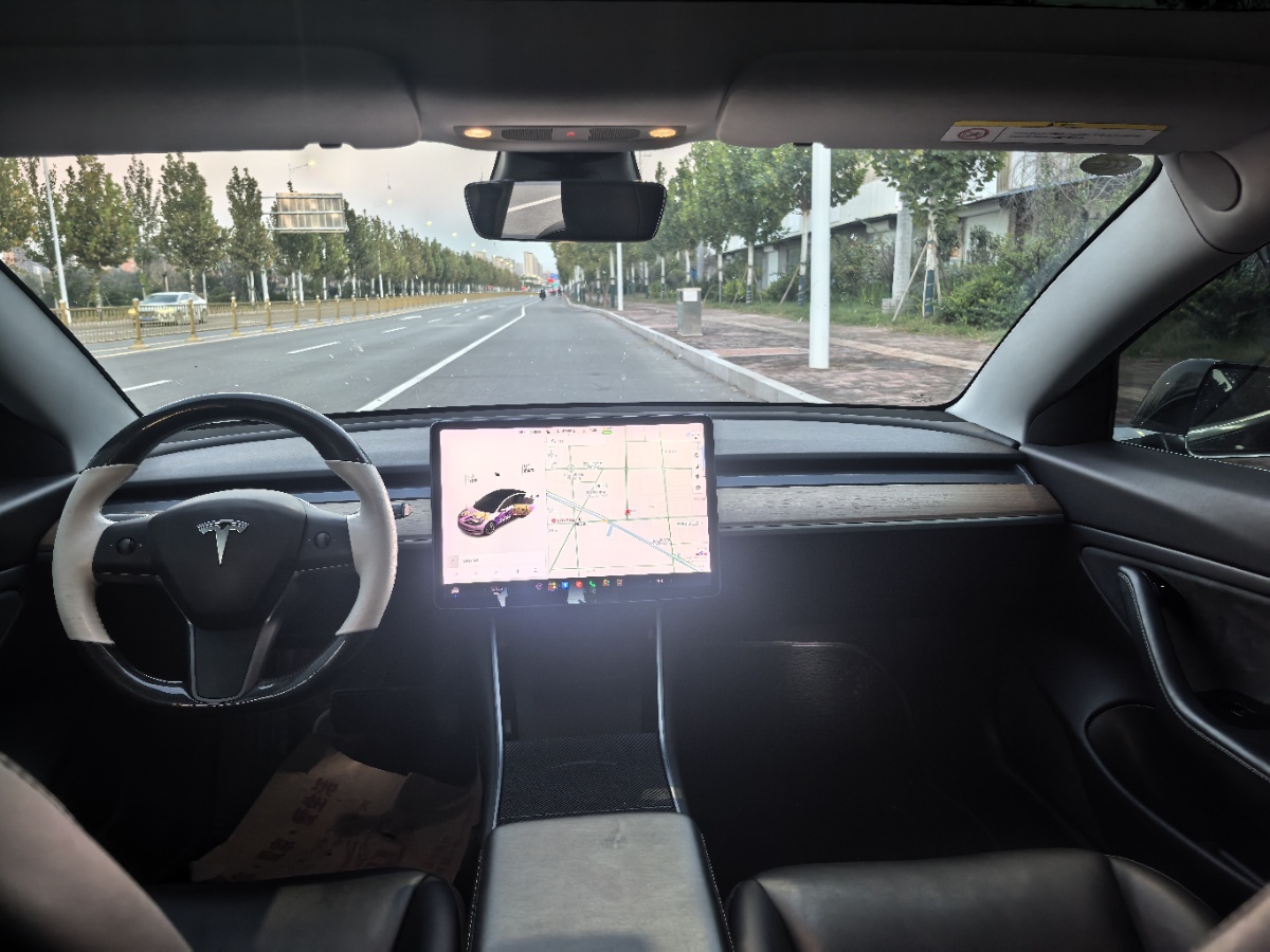 Tesla Model 3 (Imported) 2019 #9 Tesla Model 3 (Imported) 2019 imagem de carro #9