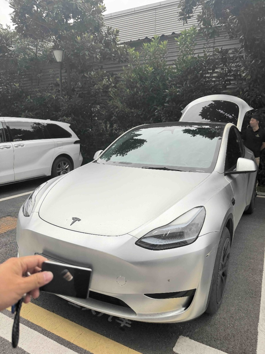 Tesla Model Y 2024 car image 