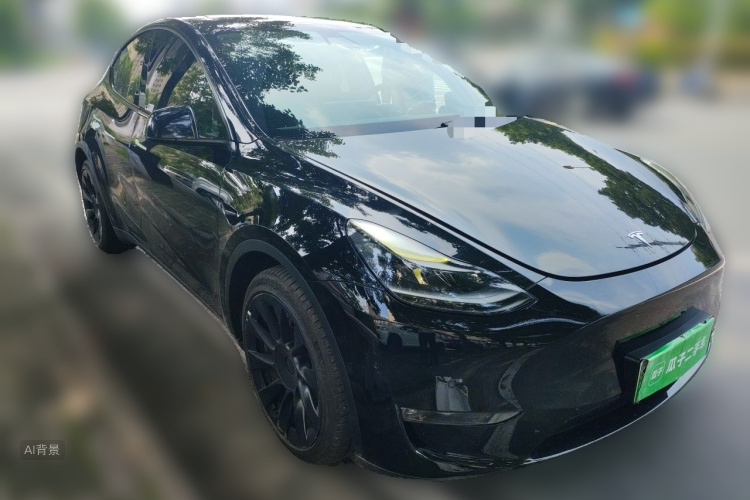 Tesla Model Y 2021 car image #4