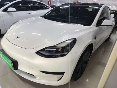 Tesla Model 3 2021 Tesla Model 3 2021 car image