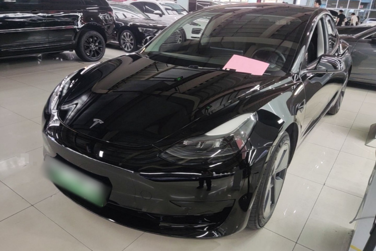 Tesla Model 3 2021 #2 Tesla Model 3 2021 car image #2