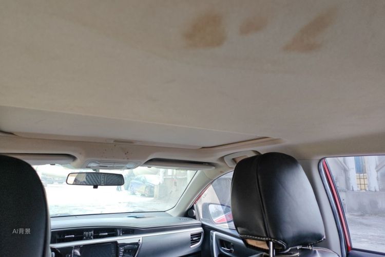 Toyota Corolla 2015 car image #20
