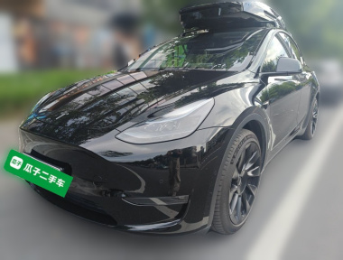 Tesla Model Y 2023 Tesla Model Y 2023 car image