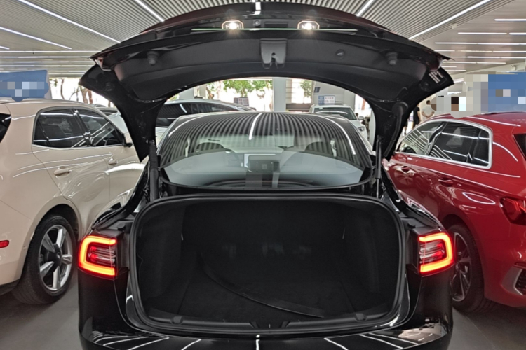 Tesla Model 3 2021 #19 Tesla Model 3 2021 car image #19