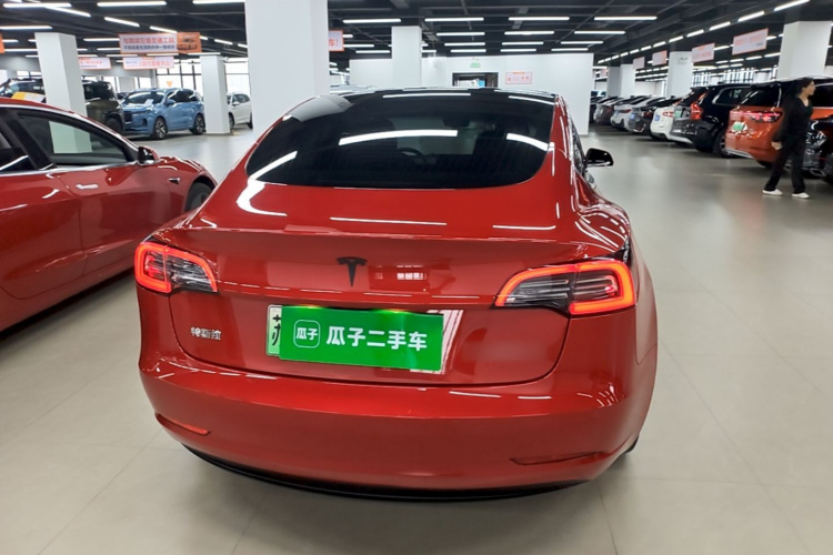 Tesla Model 3 2020 car image #6