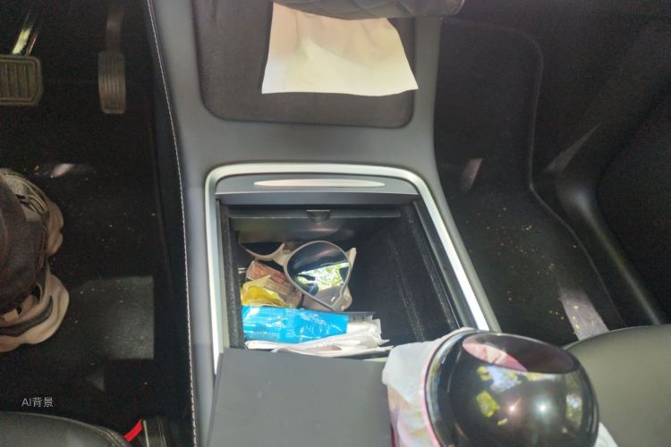 Tesla Model Y 2021 car image #10