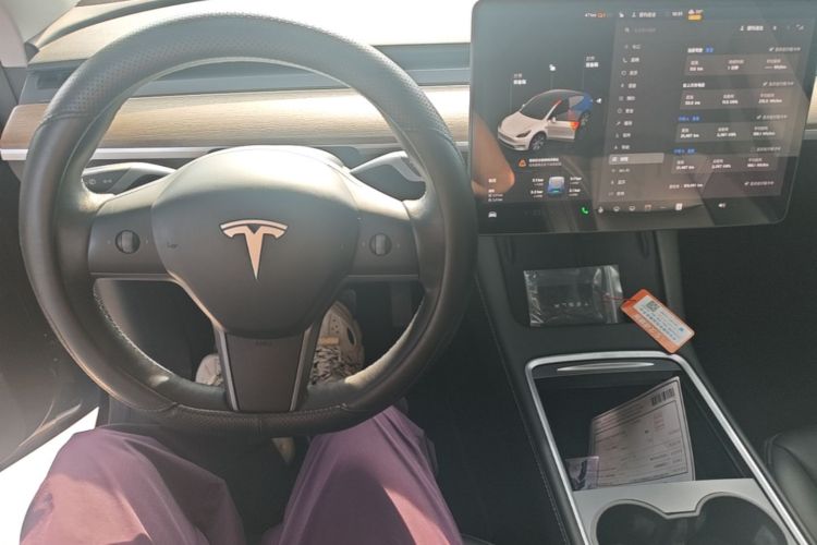 Tesla Model Y 2022 #10 Tesla Model Y 2022 car image #10