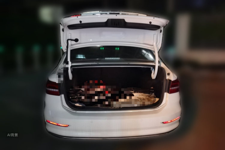 Volkswagen Lavida 2020 car image #21