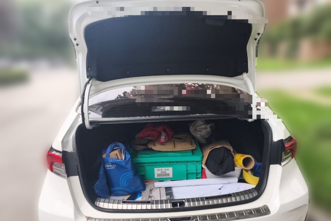 Toyota Corolla 2020 car image #8