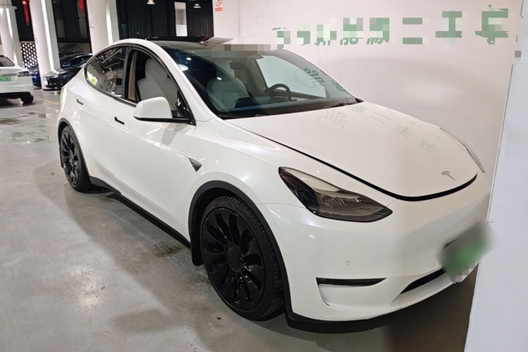 Tesla Model Y 2021 car image #6