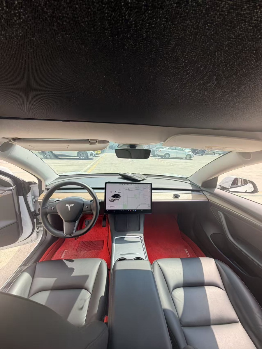 Tesla Model 3 2021 imagem de carro #9